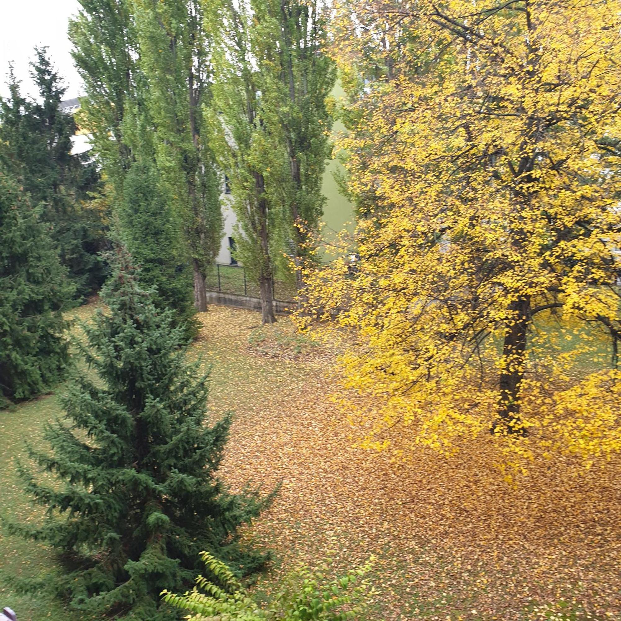 Cote Parc Apartment Schiltigheim Luaran gambar
